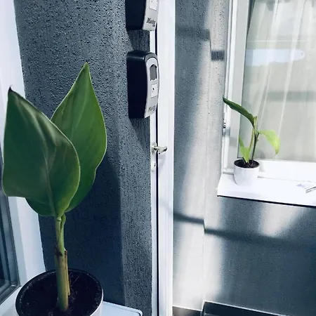 Nairo Appartement Braşov