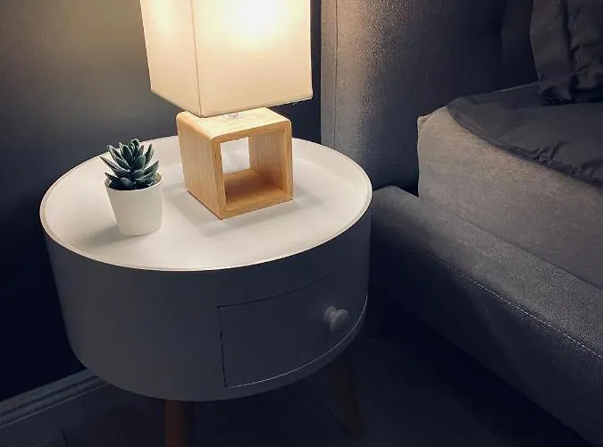 公寓 Nairo 布拉索夫