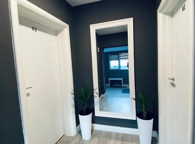 公寓 Nairo 布拉索夫