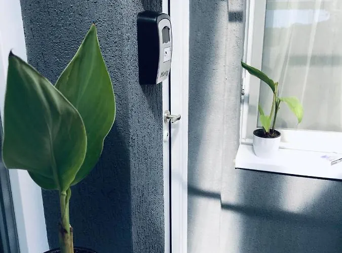 Nairo 公寓 布拉索夫